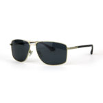 Police - Polarized