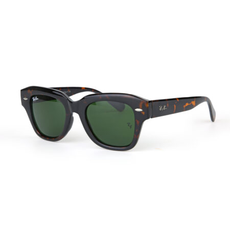 Ray - RB2186 - Tortoise